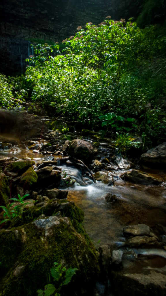 Some Tranquility