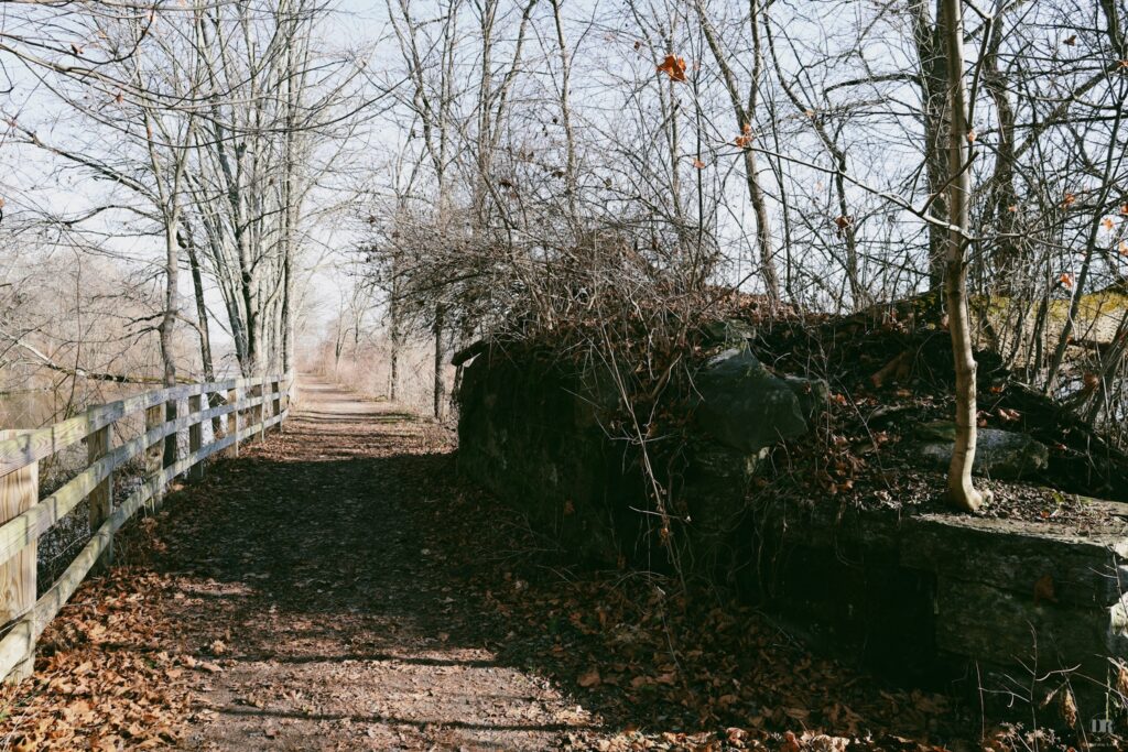 Path at Vischer Ferry Preserve