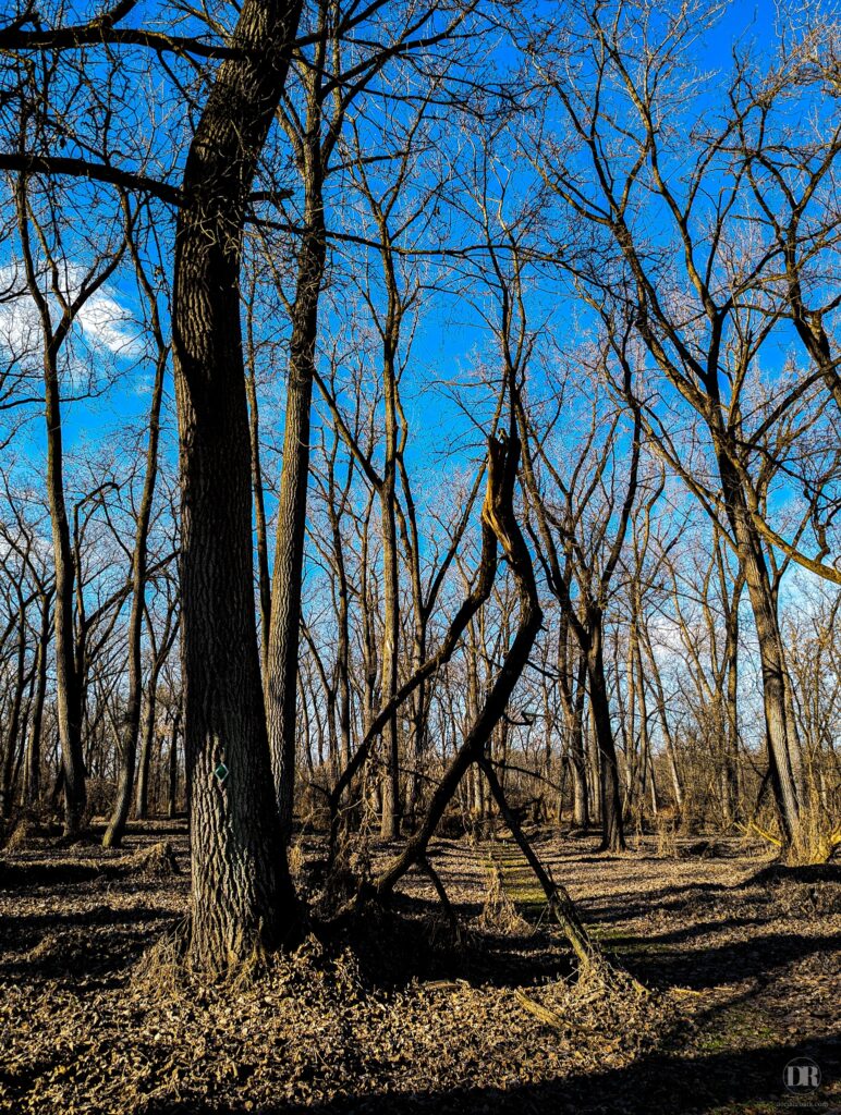 Vischer Ferry Preserve