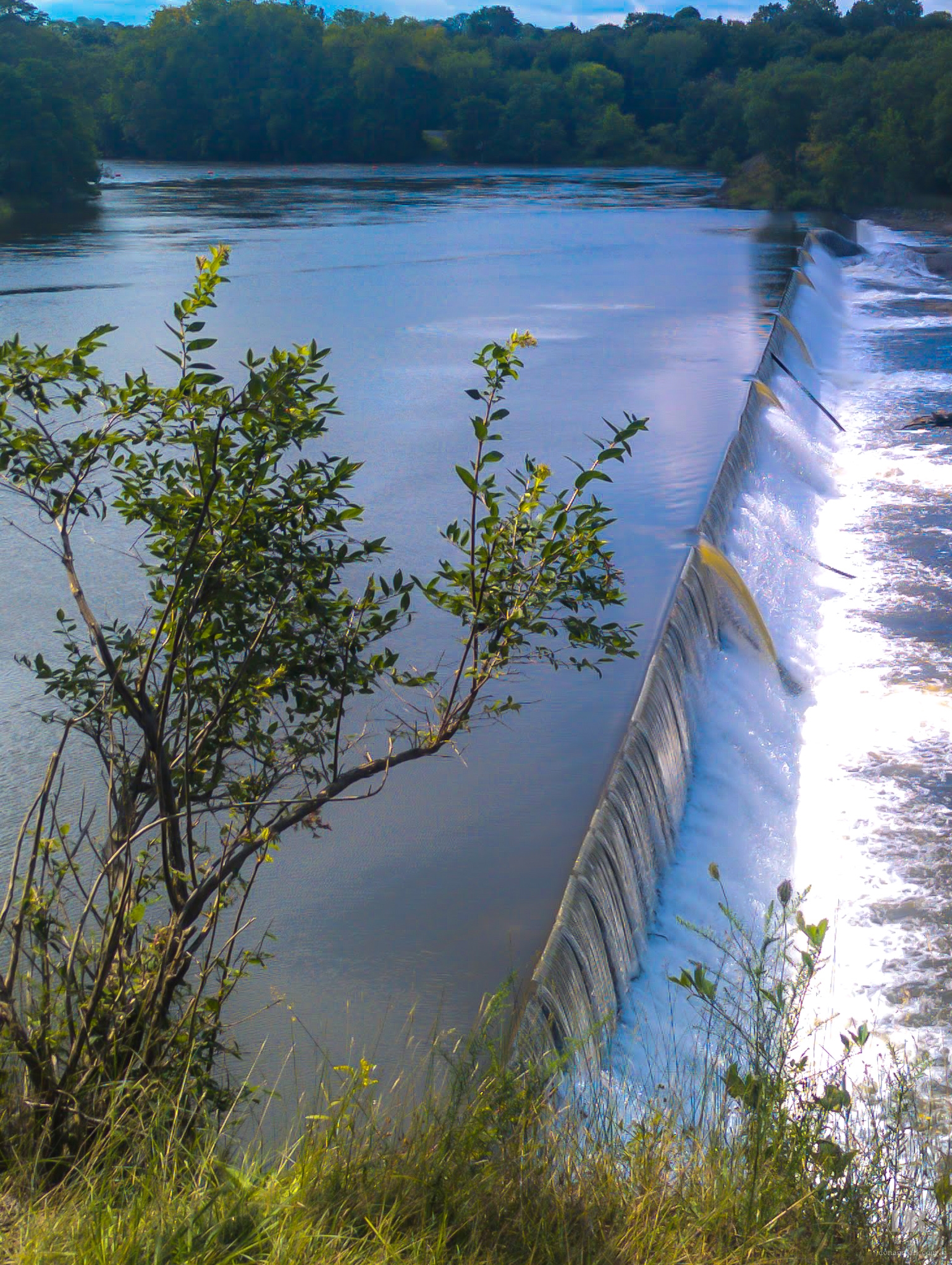 Dam