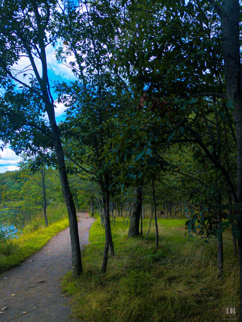Path