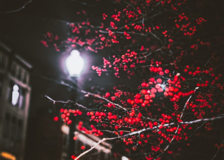 Schenectady Art Night