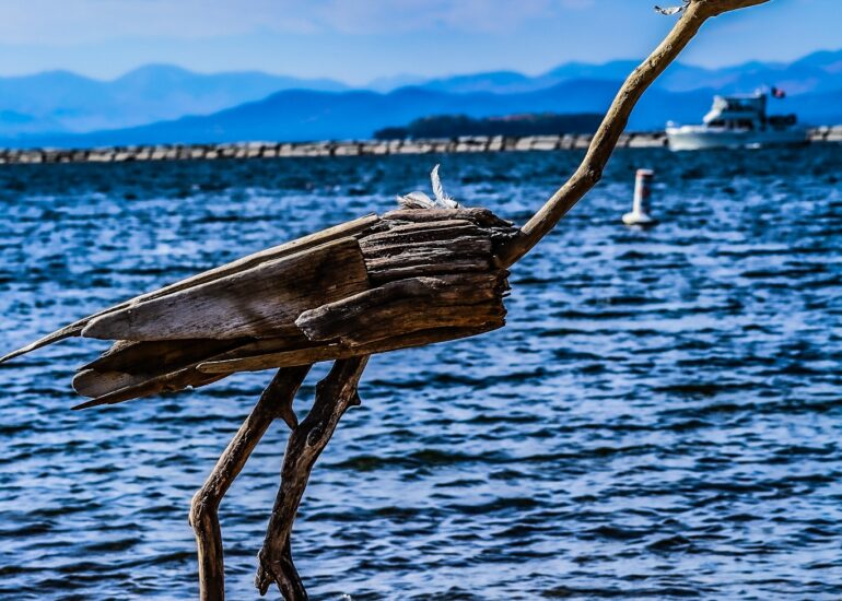 Vermont