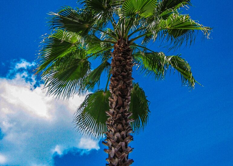 Disney's Pop Century Resort