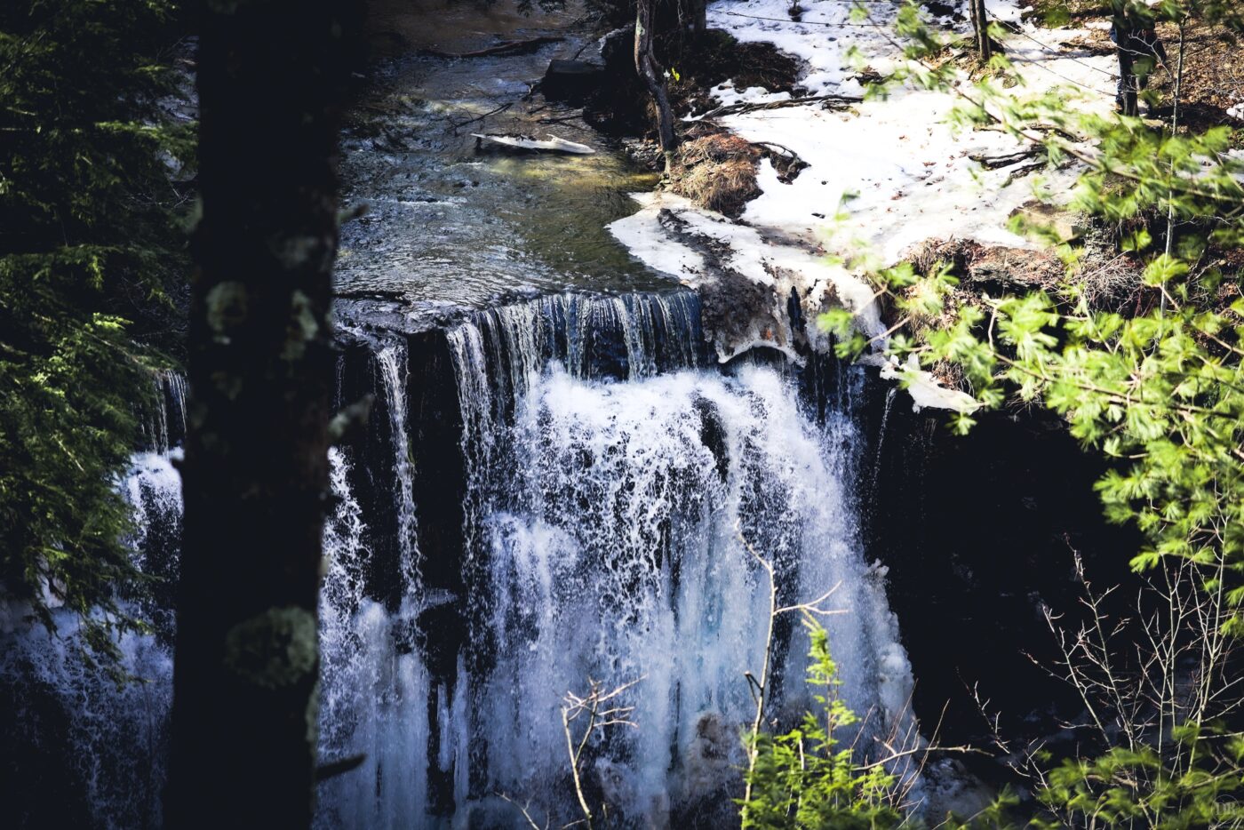 Plotterskill Preserve