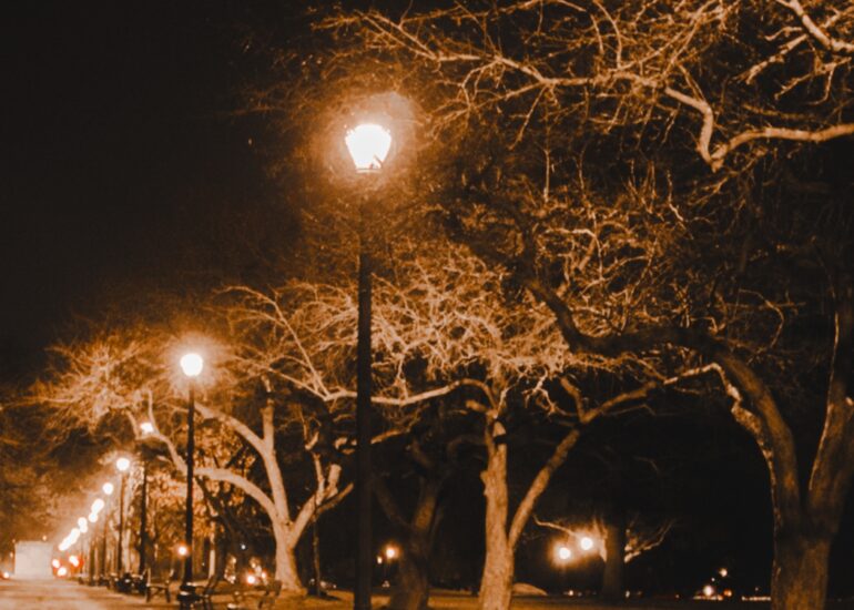 Washington Park at 4 AM