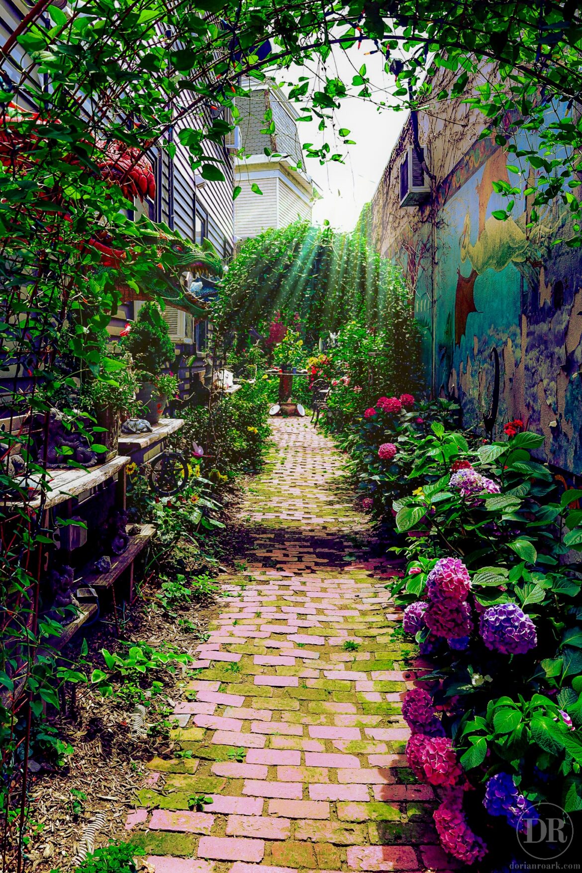 Salem Ally Garden