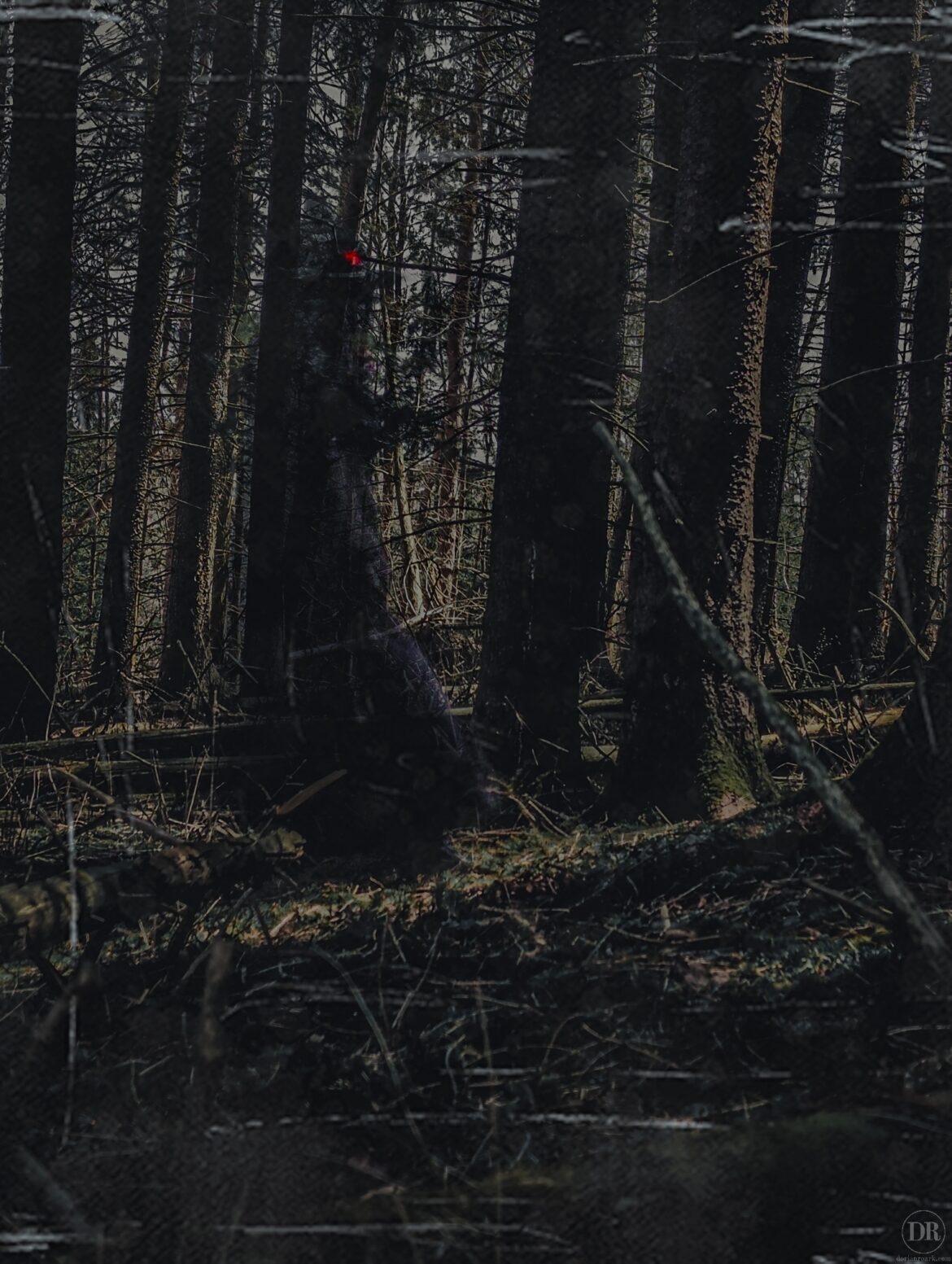 Lady Witch Photoshoot