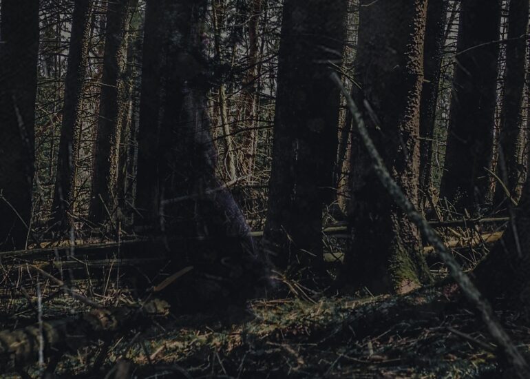 Lady Witch Photoshoot