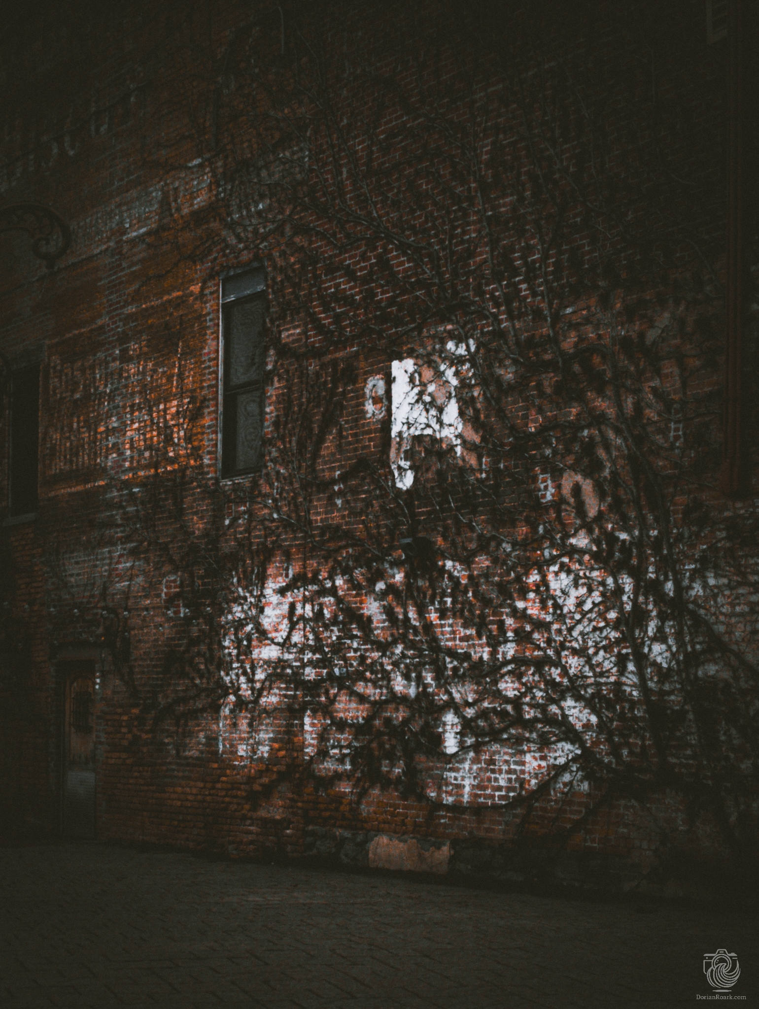 Schenectady Artless Night
