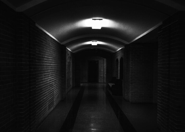 Schenectady Artless Night