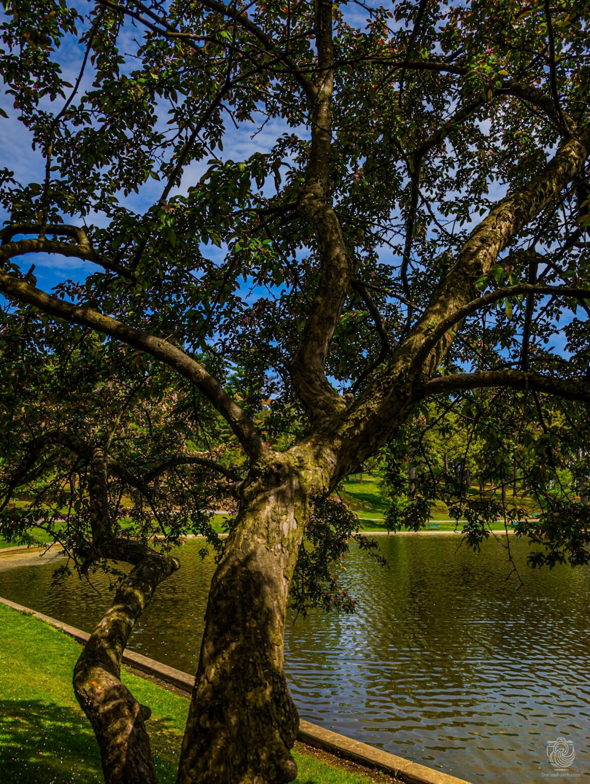 Central Park