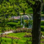 Central Park
