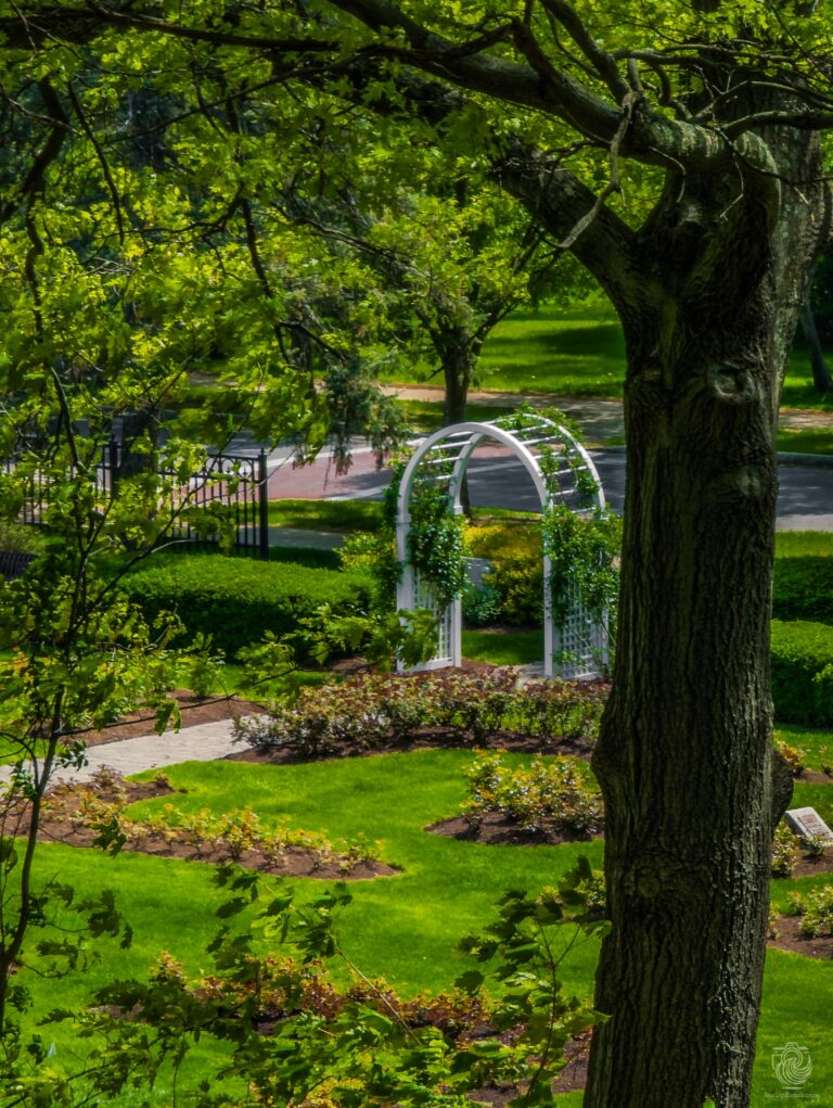 Central Park