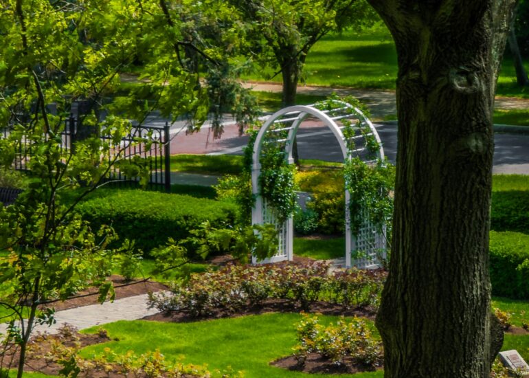 Central Park