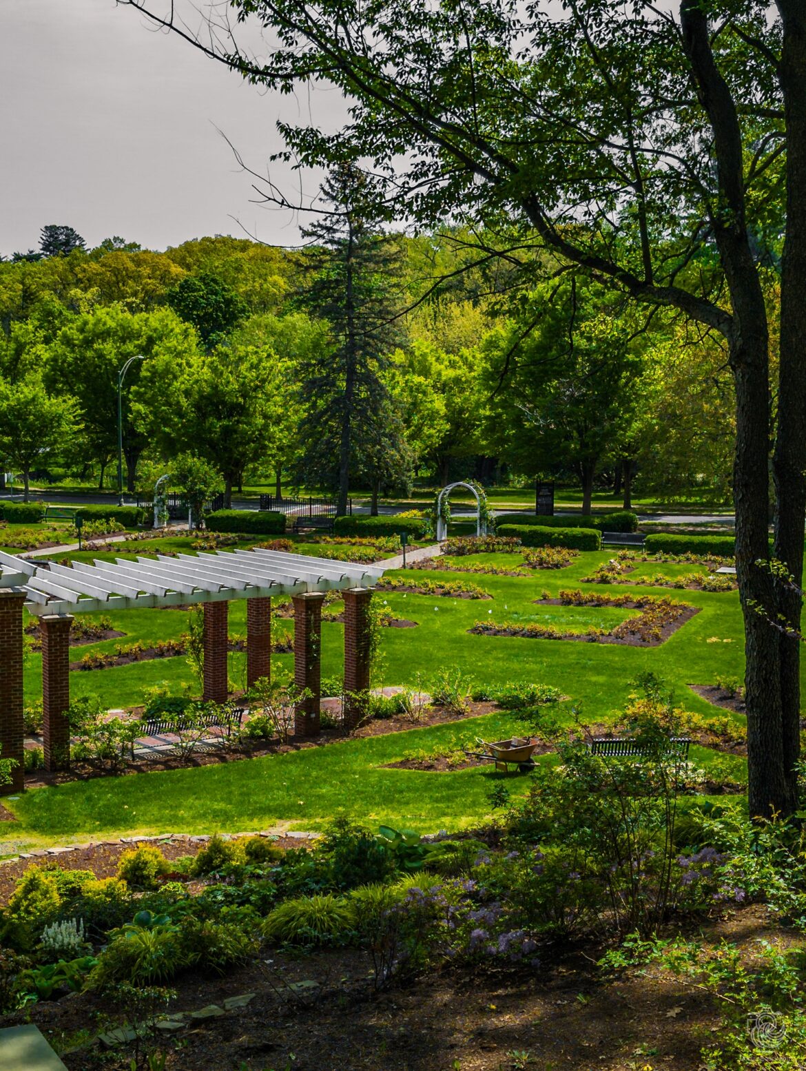 Central Park