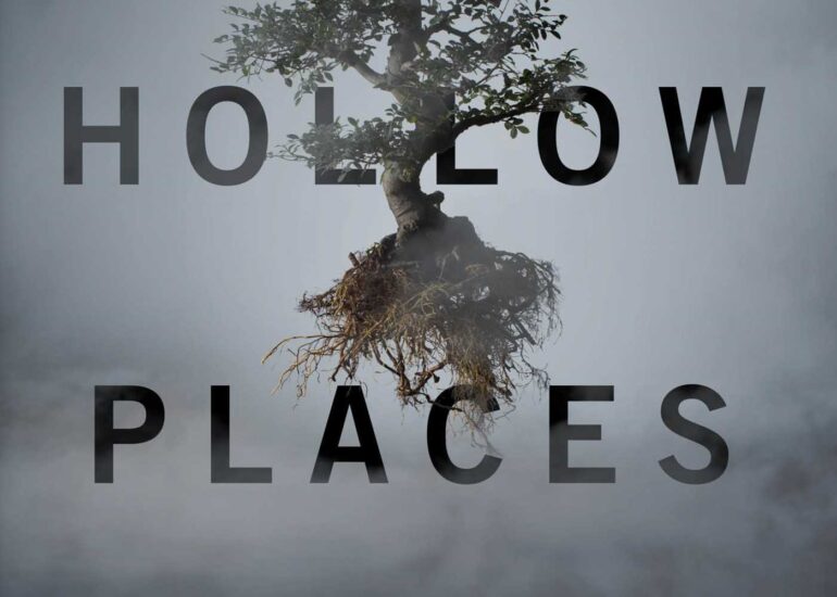 The Hollow Places Cover