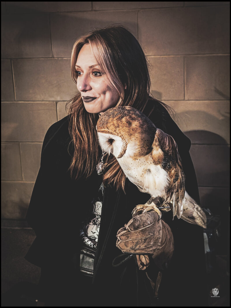 Jay Street Nightmare Market (2025)