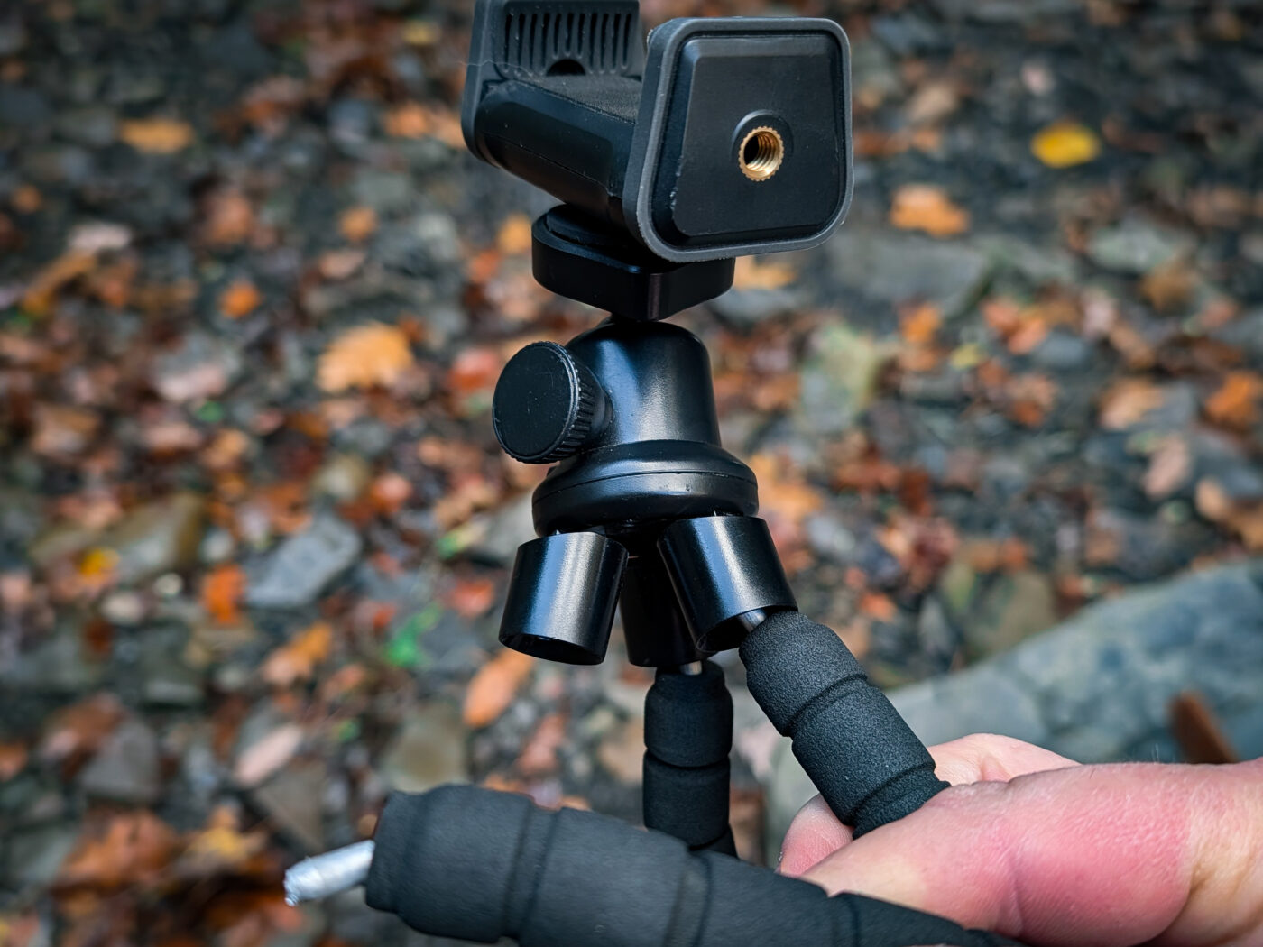 Squidward's Last Hurrah Featured