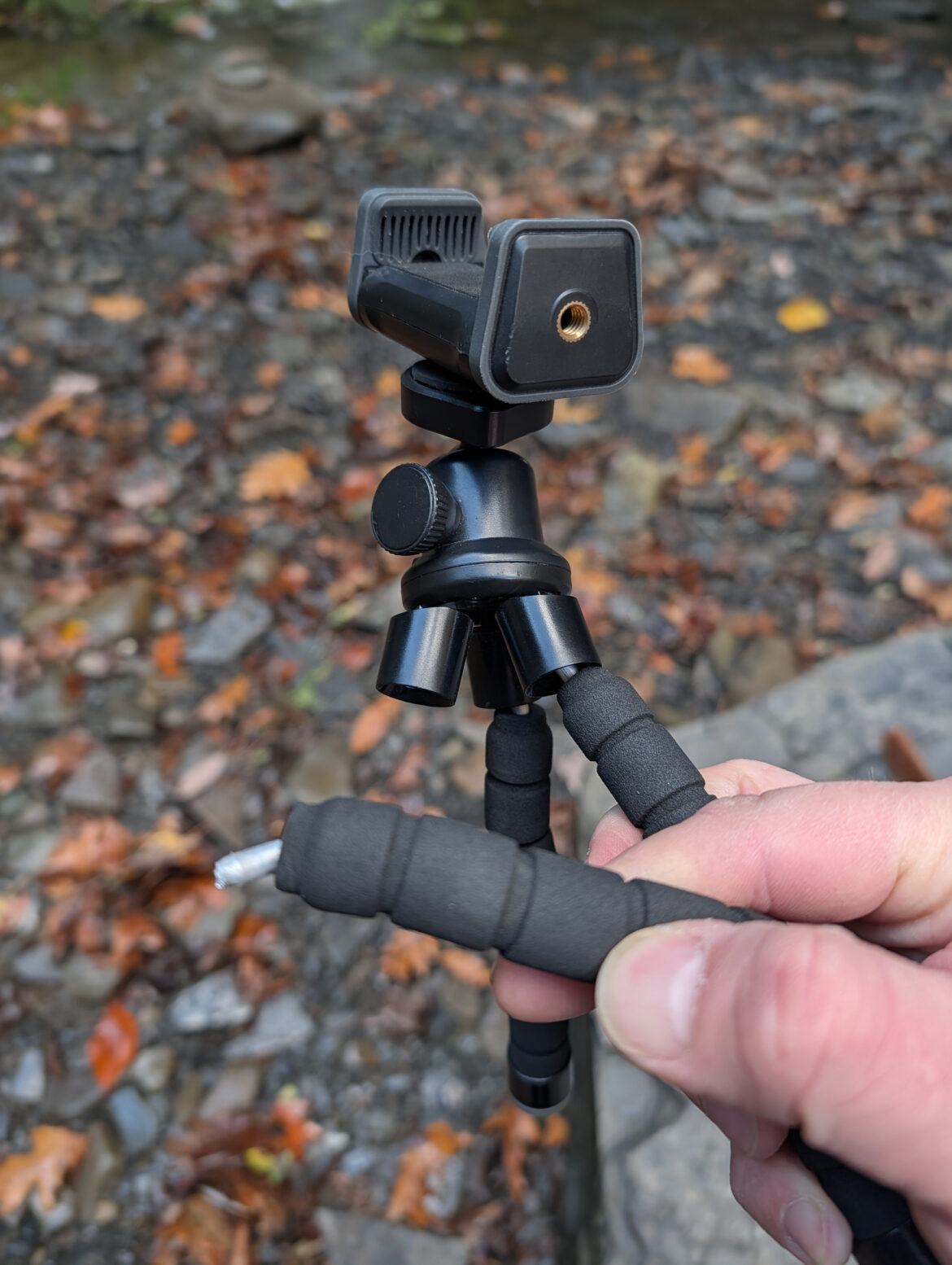 Squidward's Last Hurrah